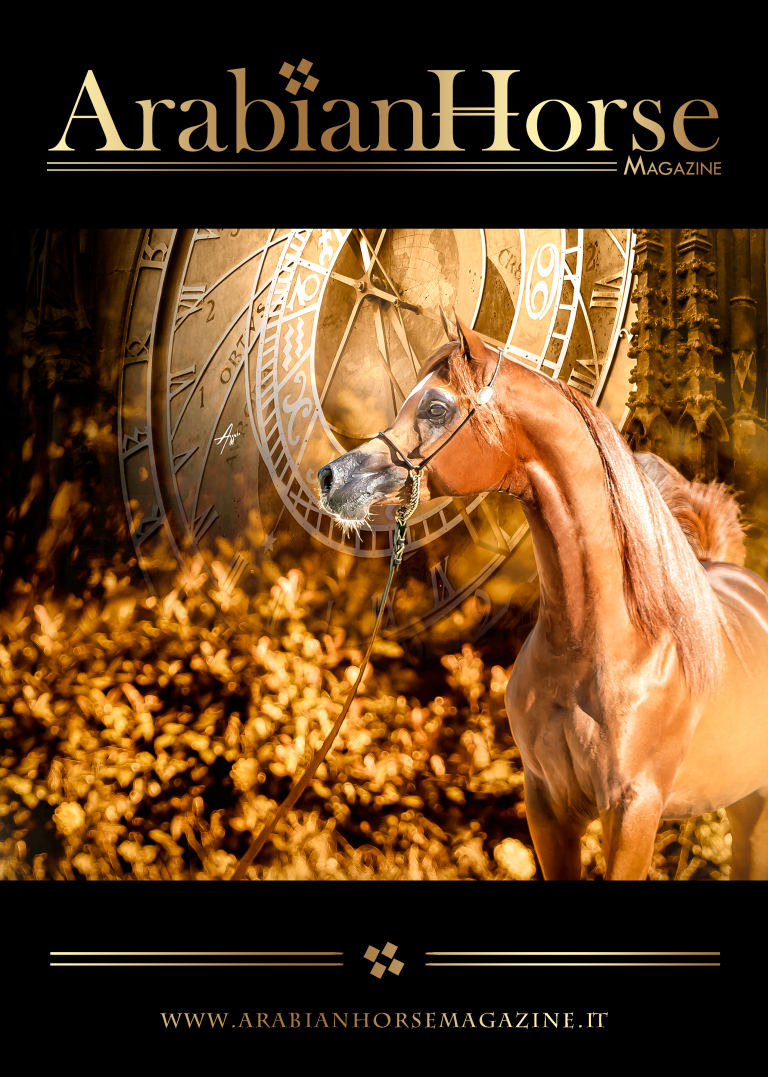Cover-N3_2020