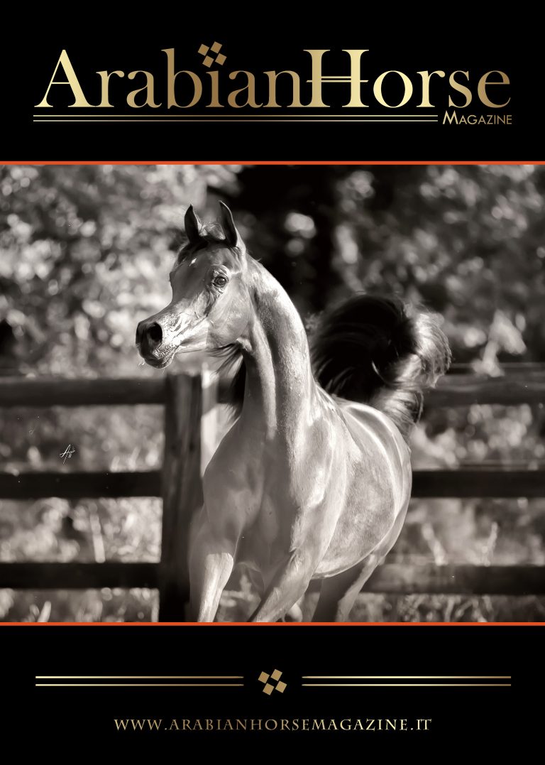 Cover N2_2021