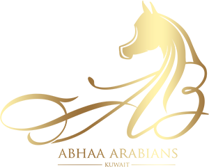 ABHAA ARABIANS STUD_