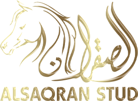 ALSAQRAN