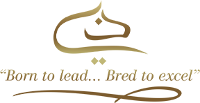 Dubai Arabian Stud Logo-01