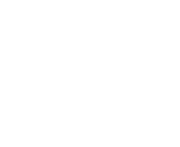 LOGO ANTONIO FUSCO copia
