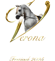 LOGO VERONA 2025