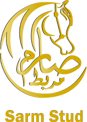 Logo sarm
