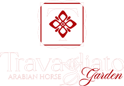 Travagliato garden 2025