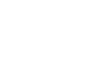 cIregia cr logo