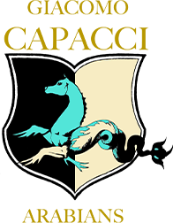 capacci logo
