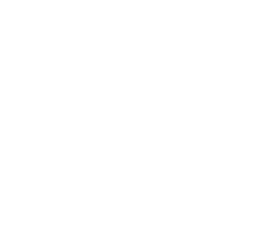 logo All Polish