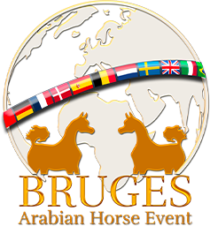 logo Bruges
