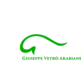 logo Giuseppe Vetrò