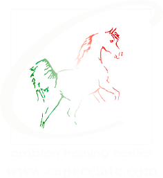 logo capecci
