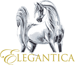 logo elegantica