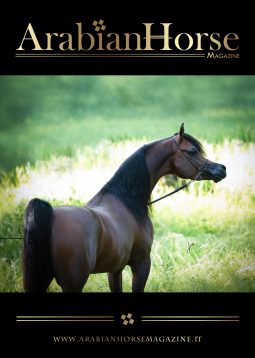 A4-Cover-MUSTIQUE-2025